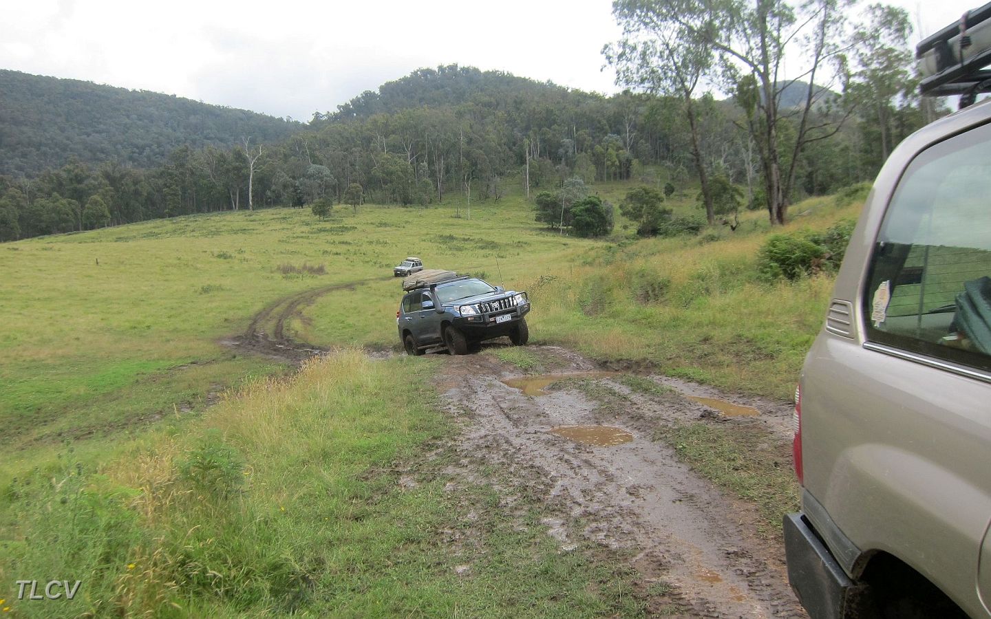 02-Dora on Running Creek Track.JPG